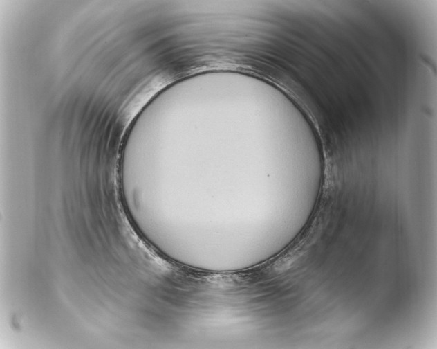 X0000103950906200810031342