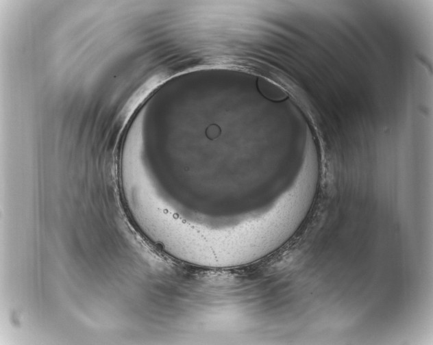 X0000103950907200810031342