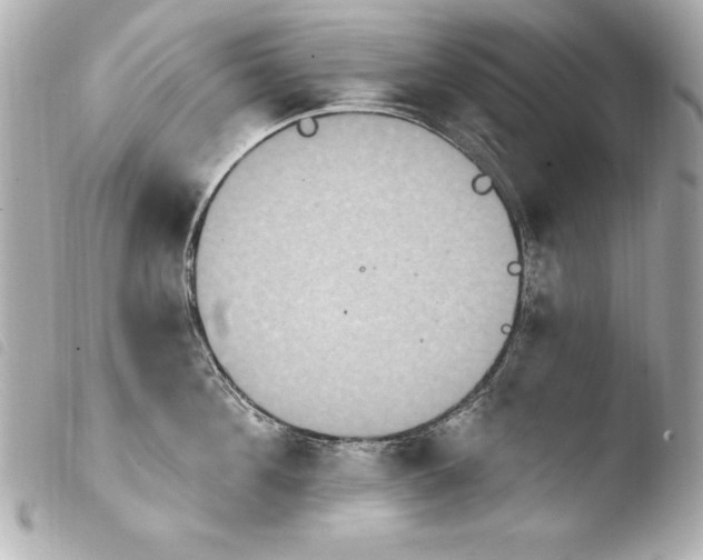 X0000103950908200810031342