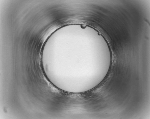 X0000103950909200810031342