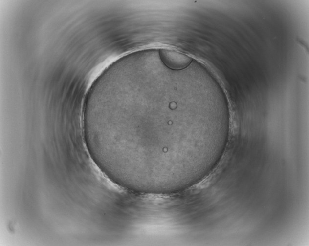 X0000103950910200810031342