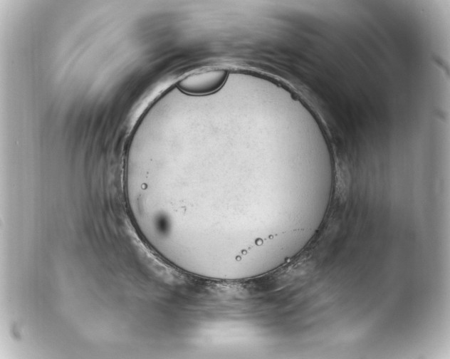 X0000103950911200810031342