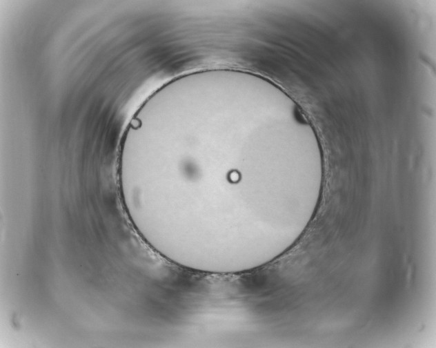 X0000103950912200810031342