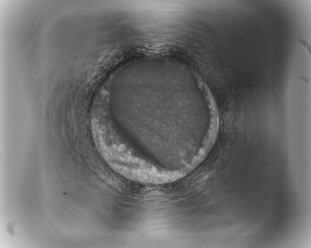 X0000103950913200810031341