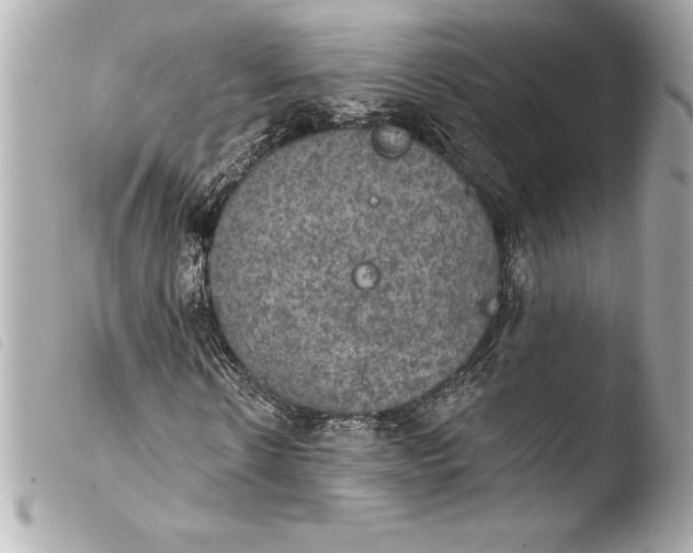 X0000103950914200810031341