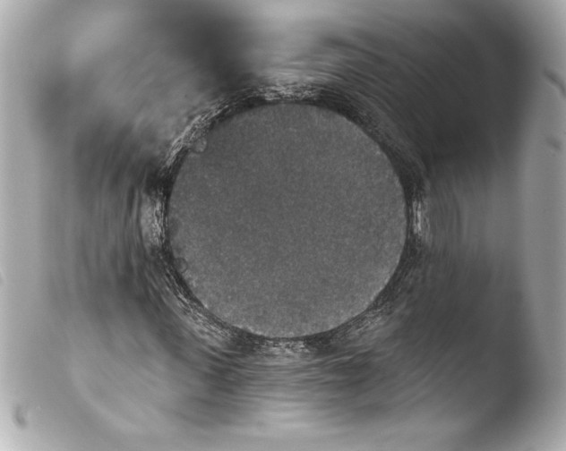 X0000103950915200810031341