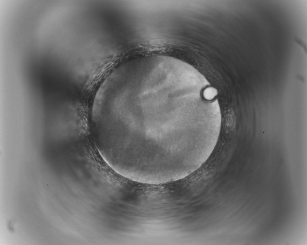 X0000103950916200810031341