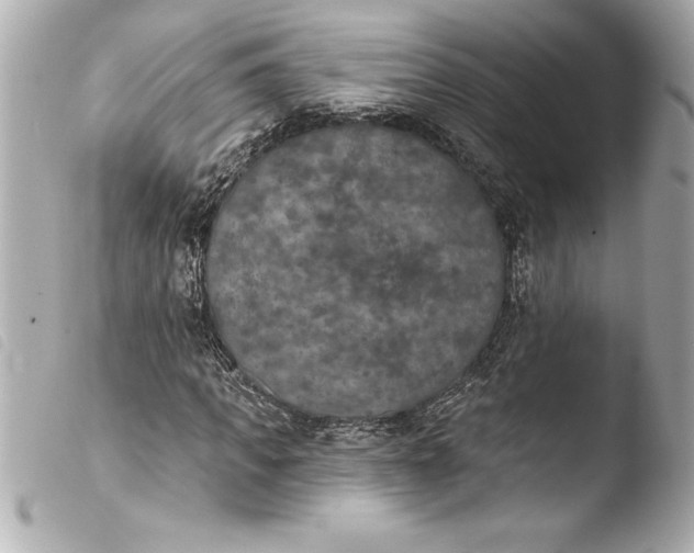 X0000103950917200810031341