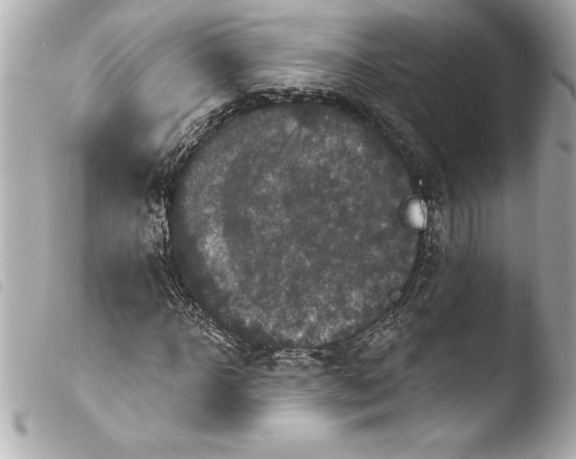 X0000103950918200810031341