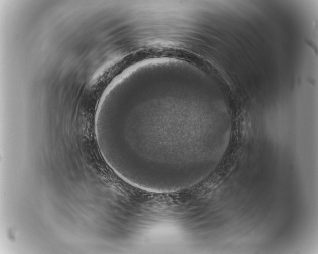 X0000103950919200810031342