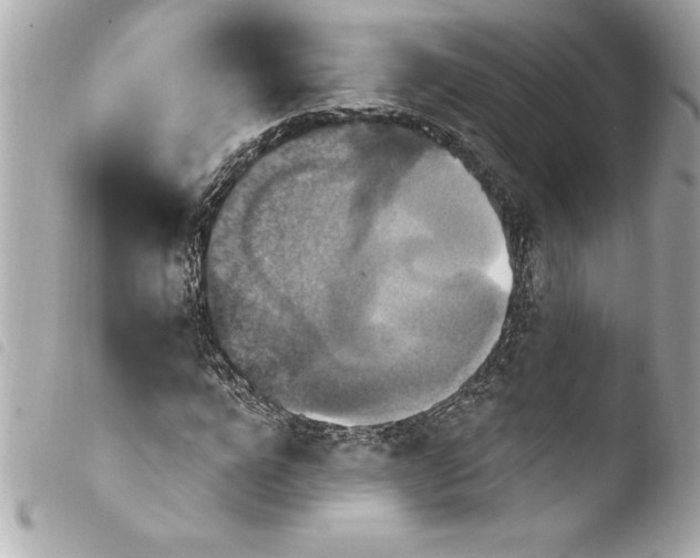 X0000103950920200810031342