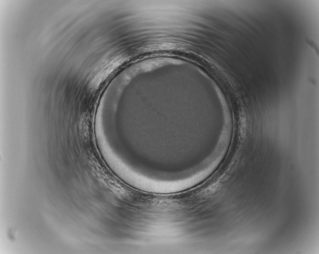 X0000103950921200810031342