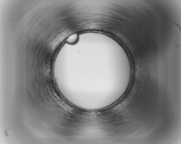 X0000103950922200810031342