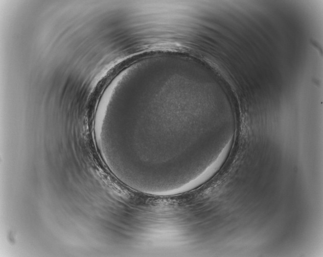 X0000103950923200810031342