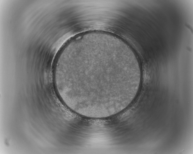 X0000103950924200810031342