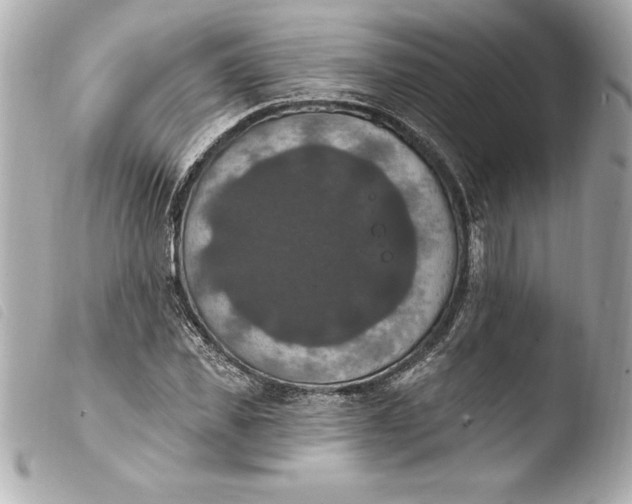 X0000103950925200810031342