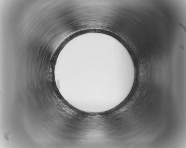 X0000103950926200810031342