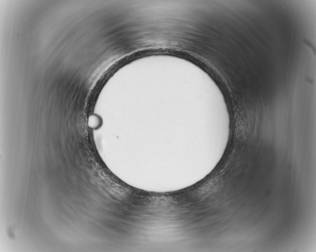 X0000103950927200810031342