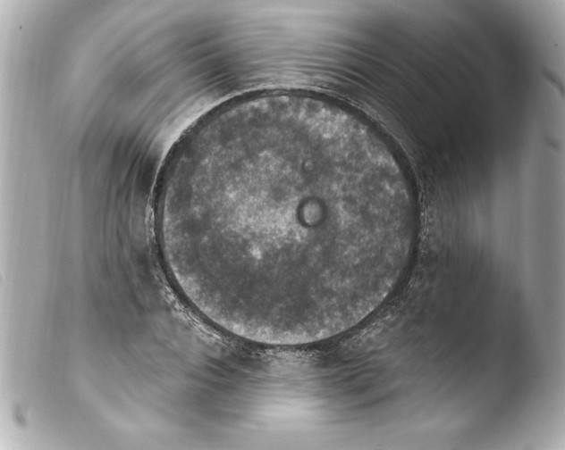 X0000103950928200810031342