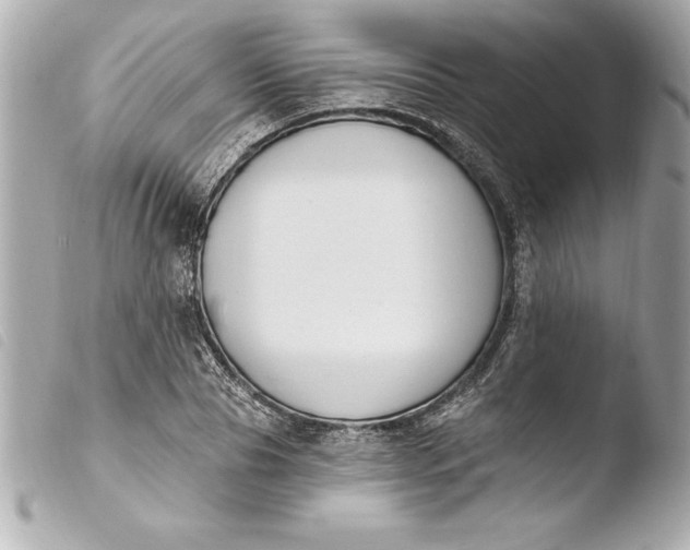 X0000103950929200810031342