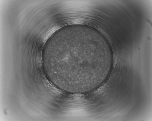 X0000103950930200810031342