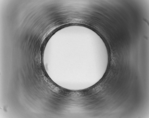 X0000103950931200810031342