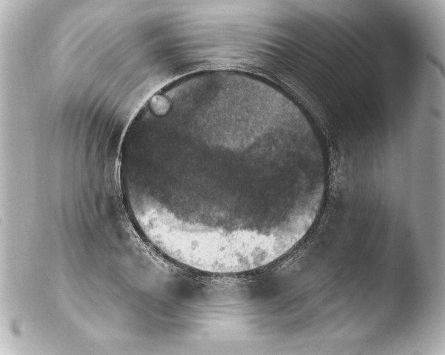 X0000103950932200810031342