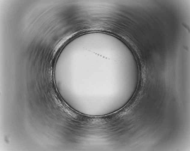 X0000103950933200810031342