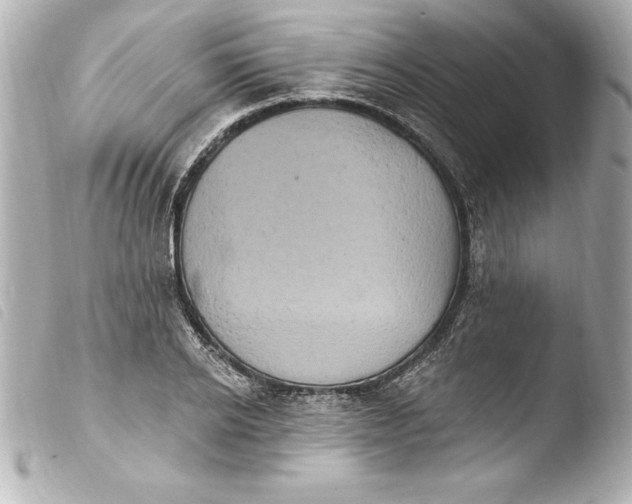 X0000103950934200810031342