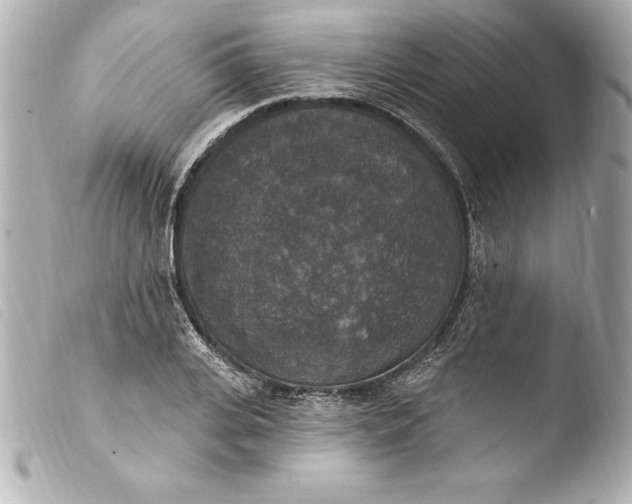 X0000103950935200810031342