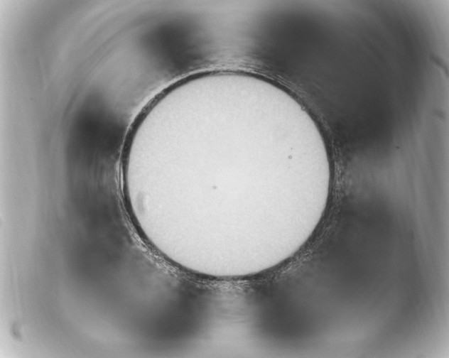 X0000103950936200810031342