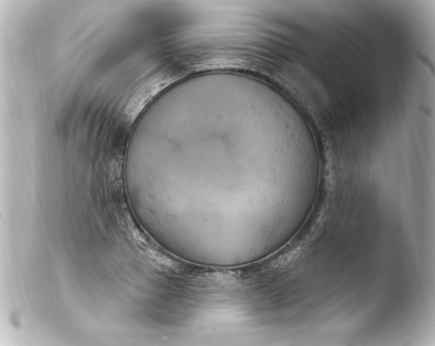 X0000103950937200810031342