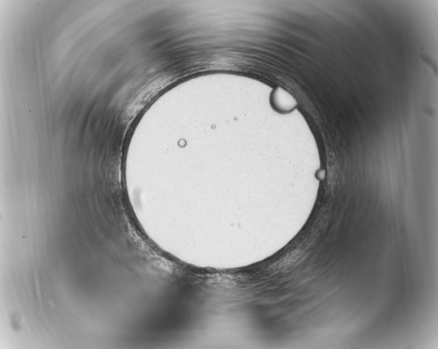 X0000103950938200810031342