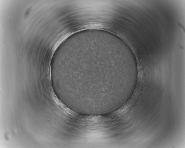 X0000103950939200810031342