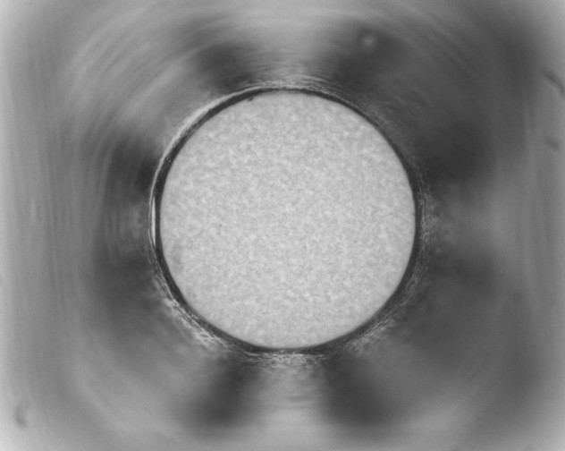 X0000103950940200810031342