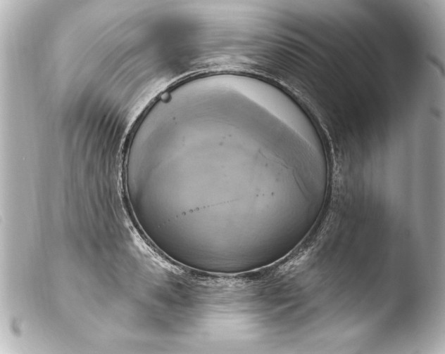 X0000103950941200810031342