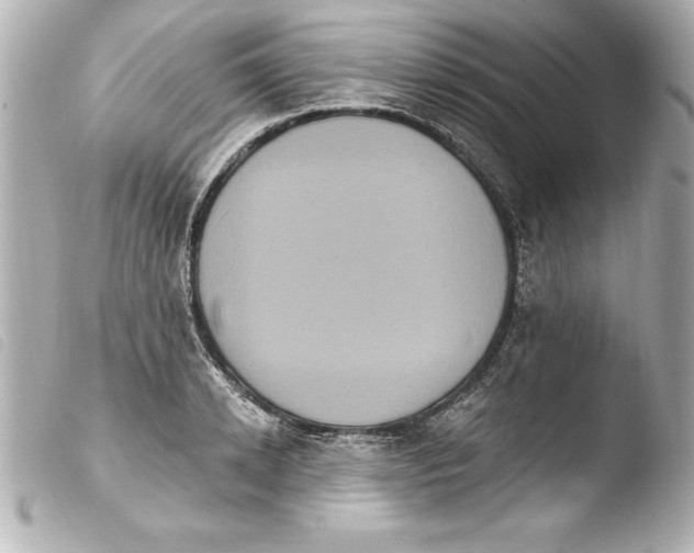 X0000103950942200810031342