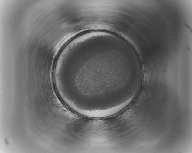 X0000103950943200810031342