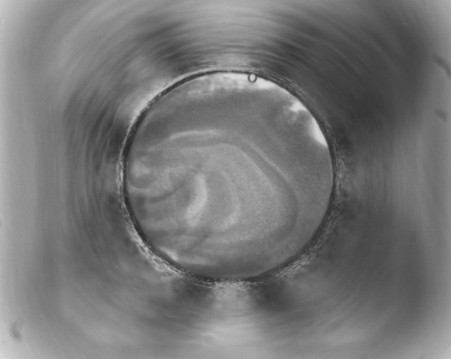 X0000103950944200810031342