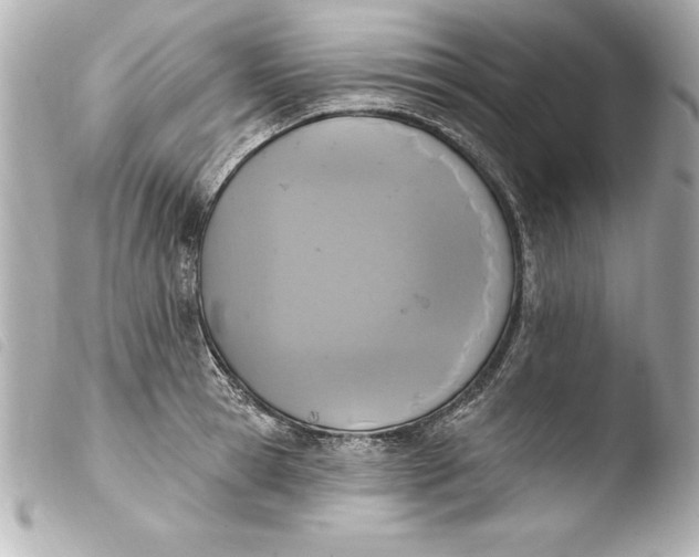 X0000103950945200810031342