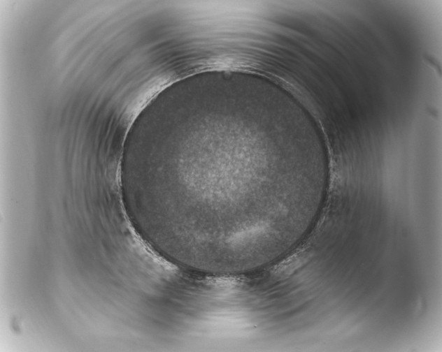 X0000103950946200810031342