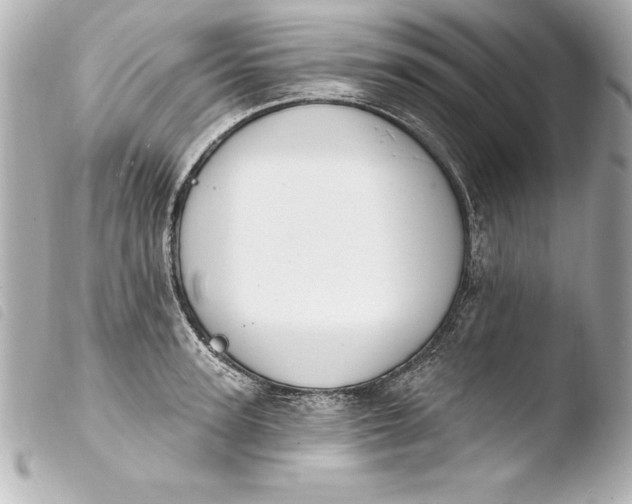 X0000103950947200810031342