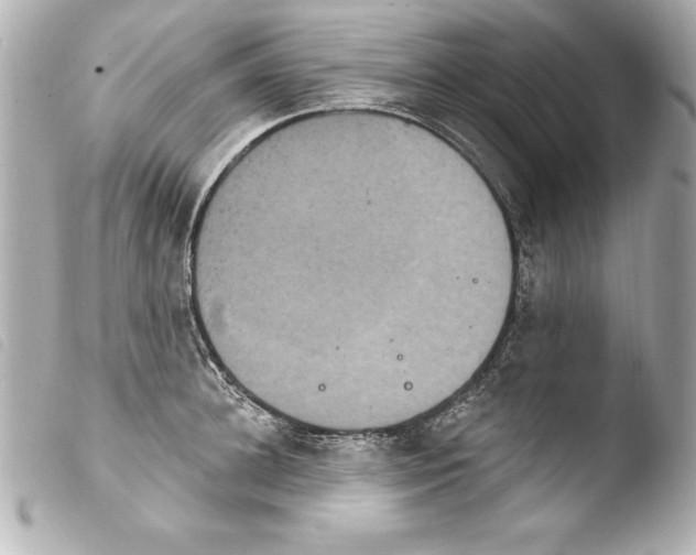 X0000103950948200810031342