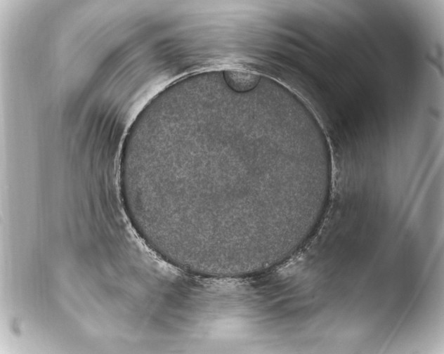 X0000103950949200810031342