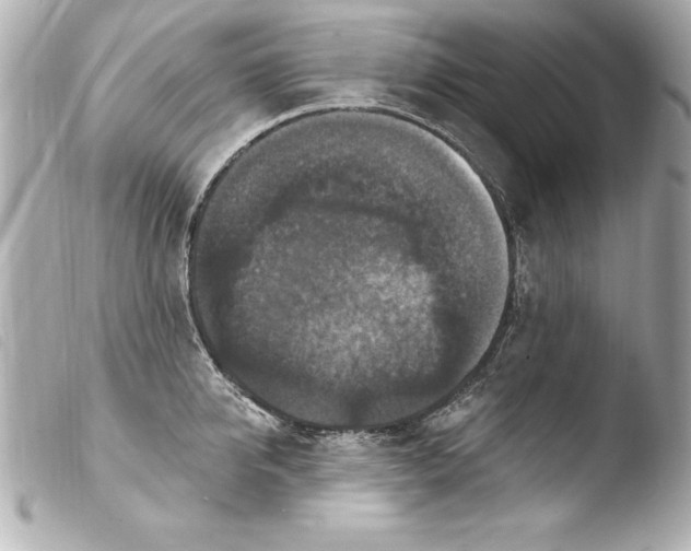 X0000103950950200810031342