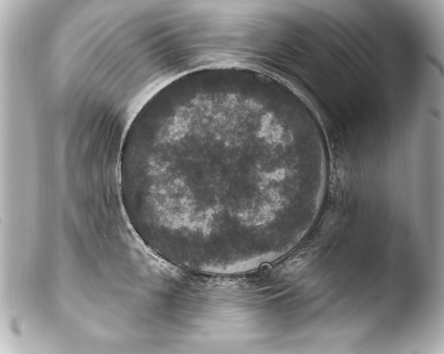 X0000103950951200810031342