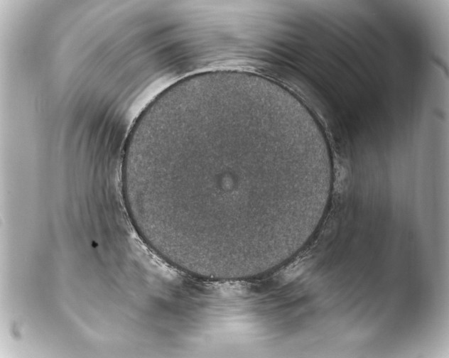 X0000103950952200810031342