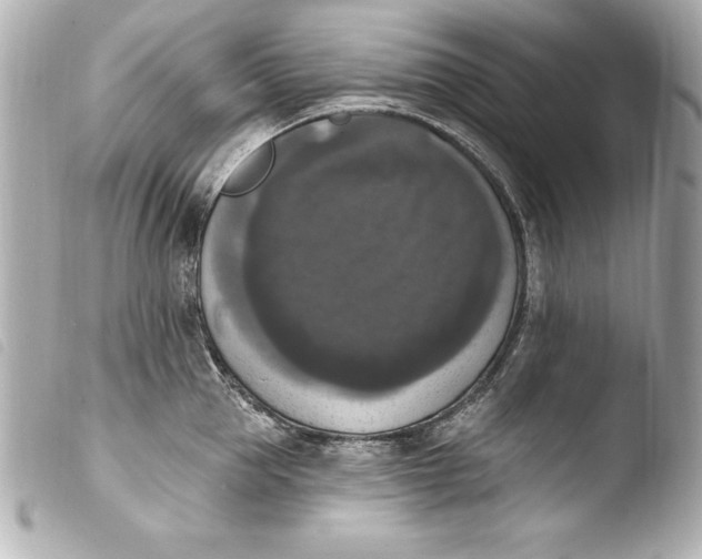 X0000103950953200810031342