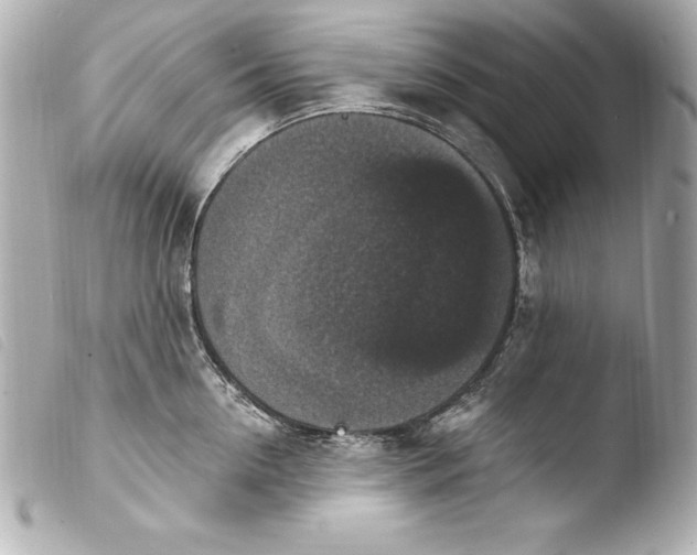 X0000103950954200810031342