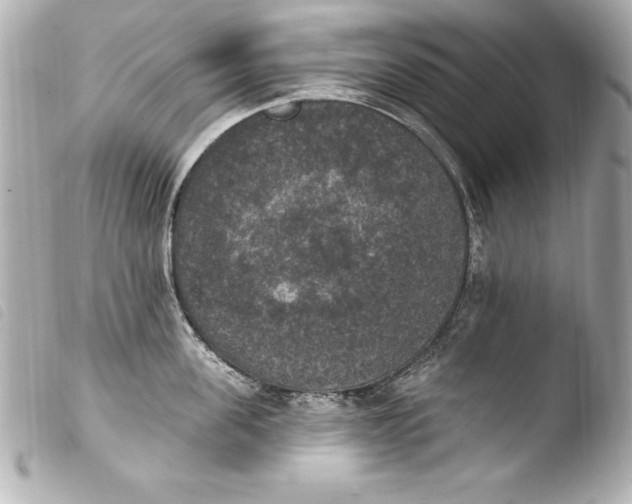 X0000103950955200810031342